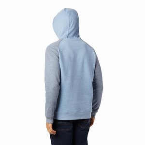 Columbia Hart Mountain™ II Skinna Hoodie Herr Grå/Blå (BPVFY9851)